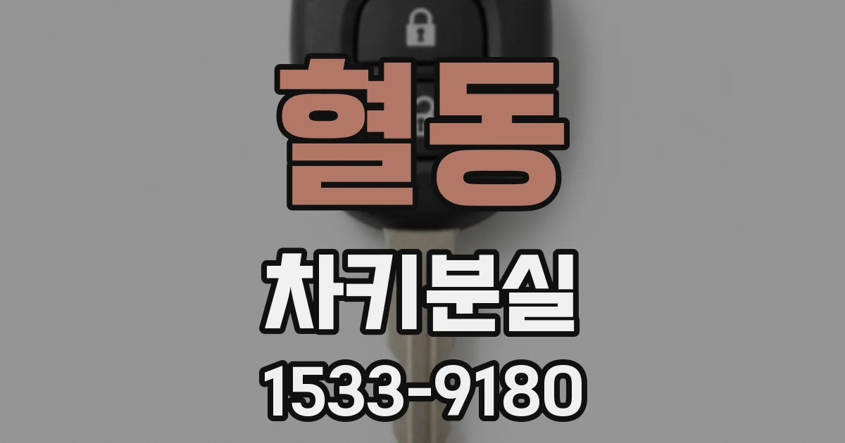 혈동 차키분실