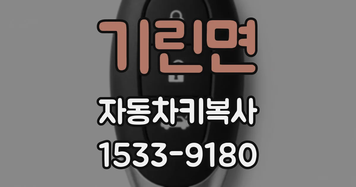 기린면 자동차키복사