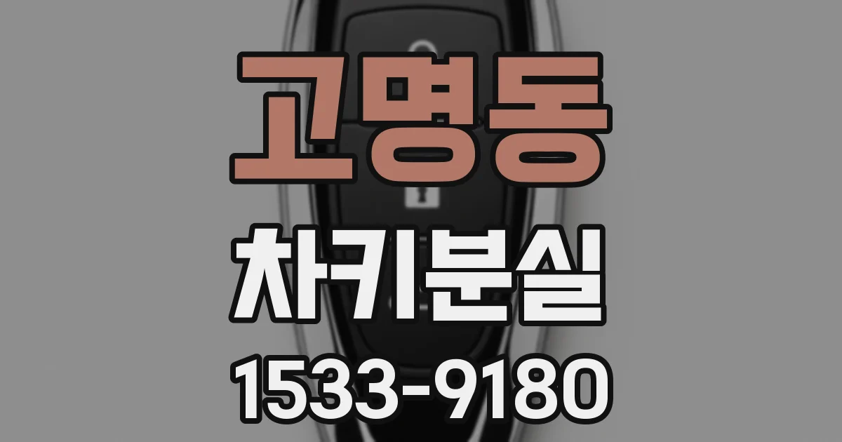고명동 차키분실