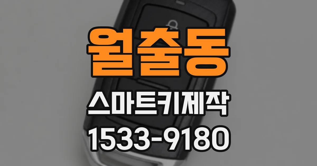 월출동 스마트키제작
