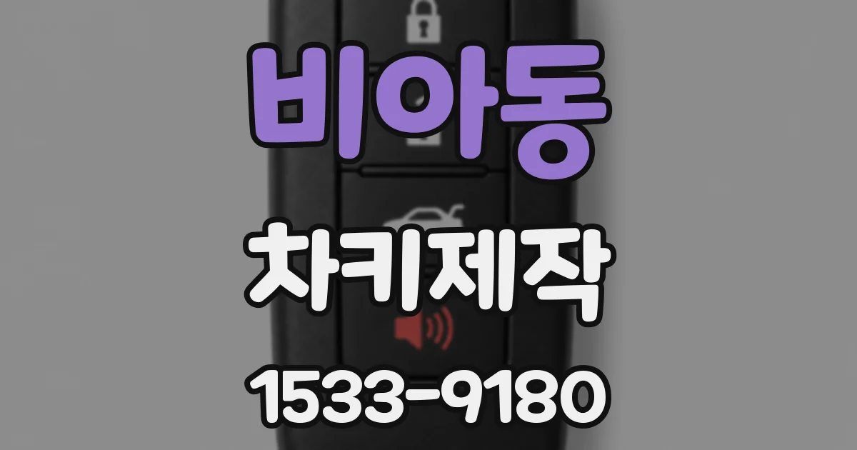 비아동 차키제작