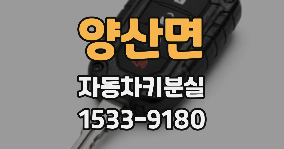 양산면 자동차키분실