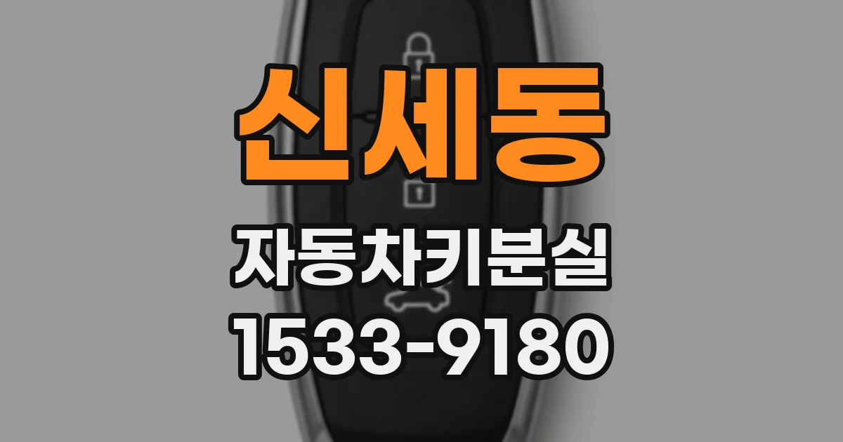 신세동 자동차키분실