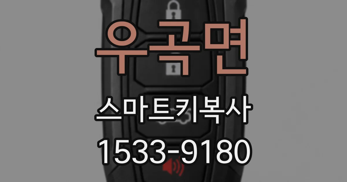 우곡면 스마트키복사
