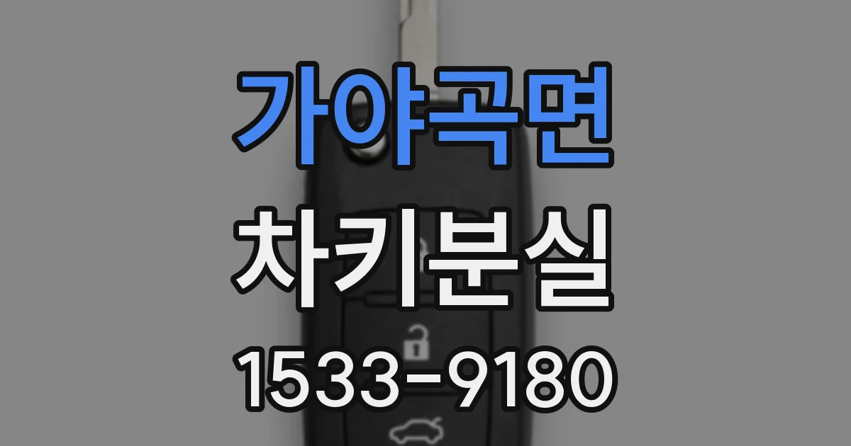 가야곡면 차키분실