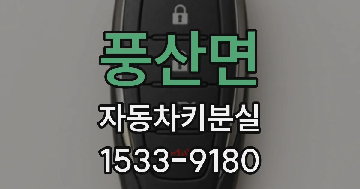풍산면 자동차키분실