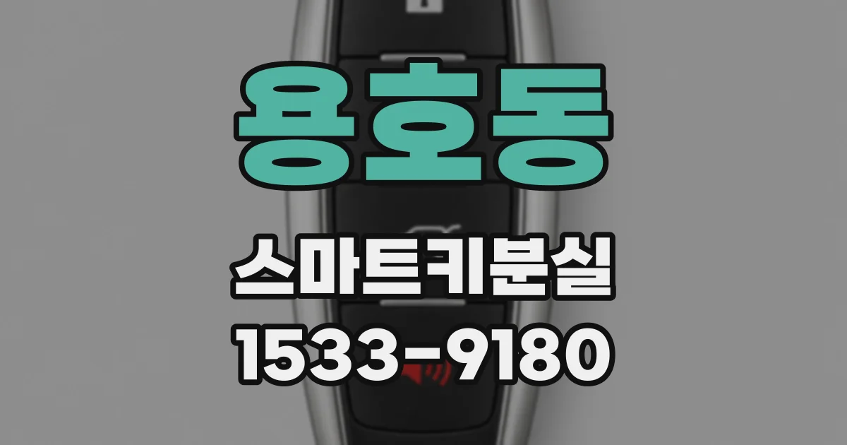 용호동 스마트키분실