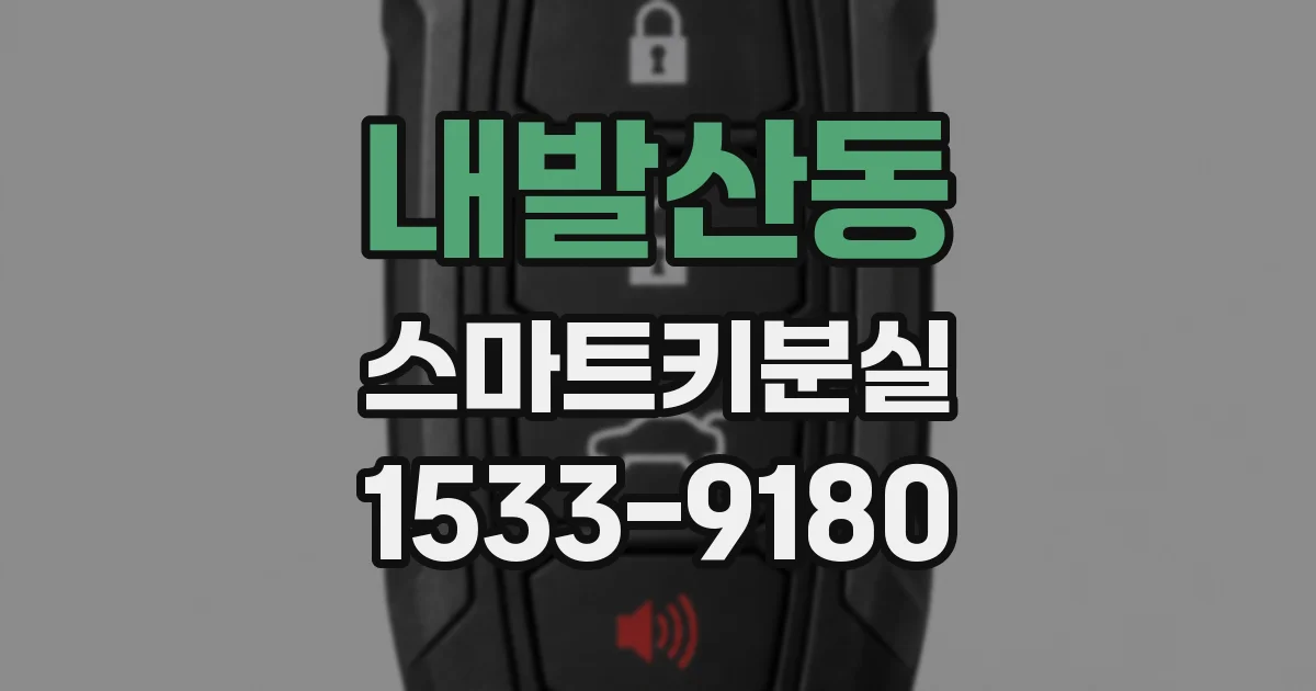 내발산동 스마트키분실