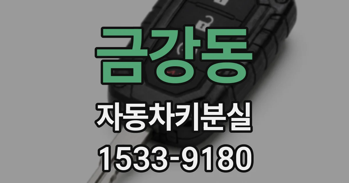 금강동 자동차키분실
