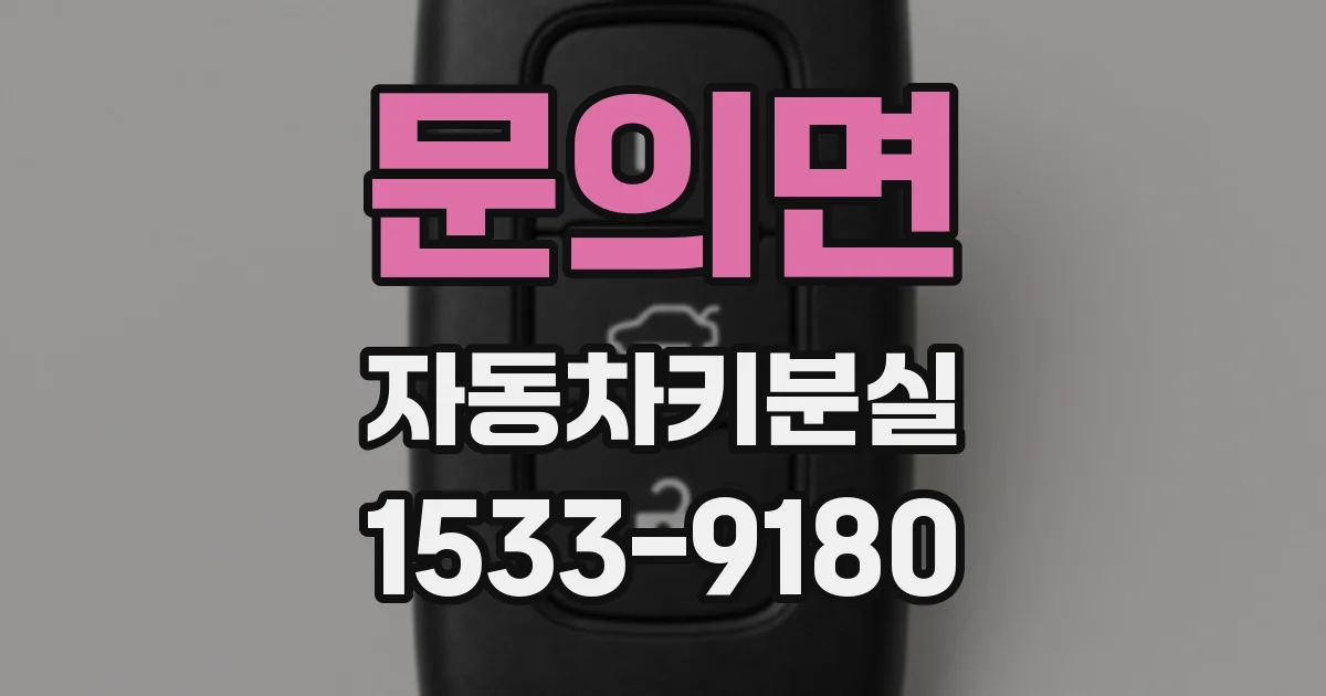 문의면 자동차키분실