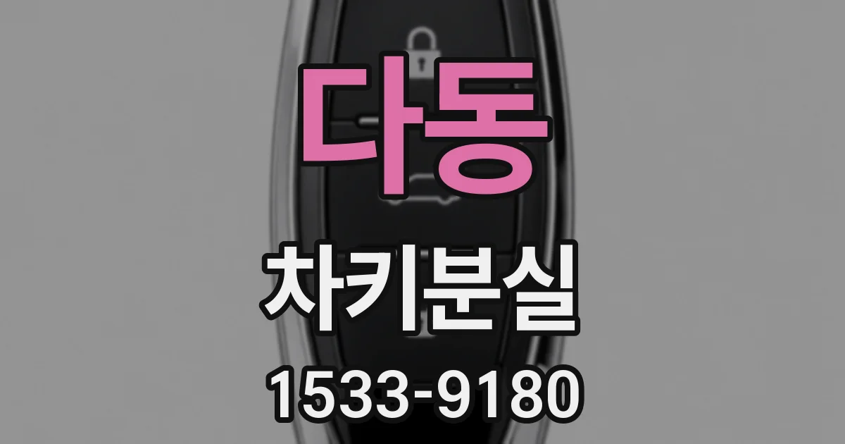 다동 차키분실