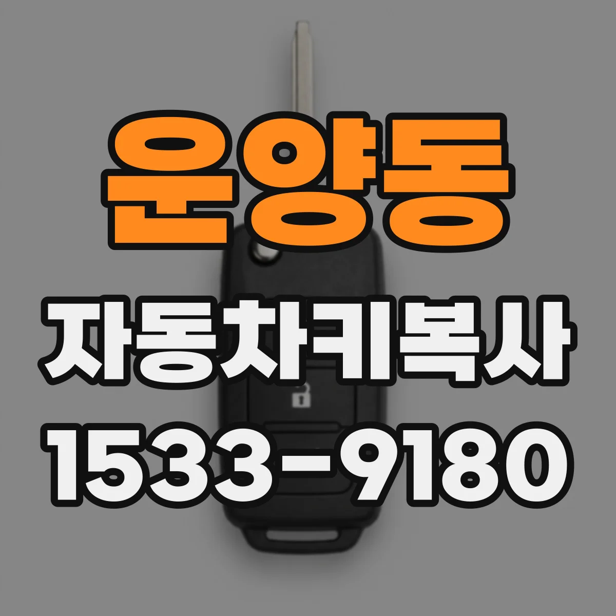운양동 자동차키복사