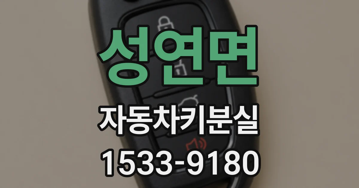 성연면 자동차키분실