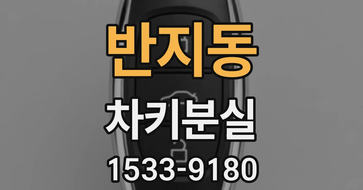 반지동 차키분실
