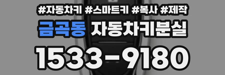 금곡동 자동차키분실