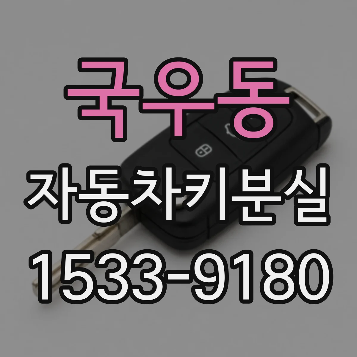 국우동 자동차키분실