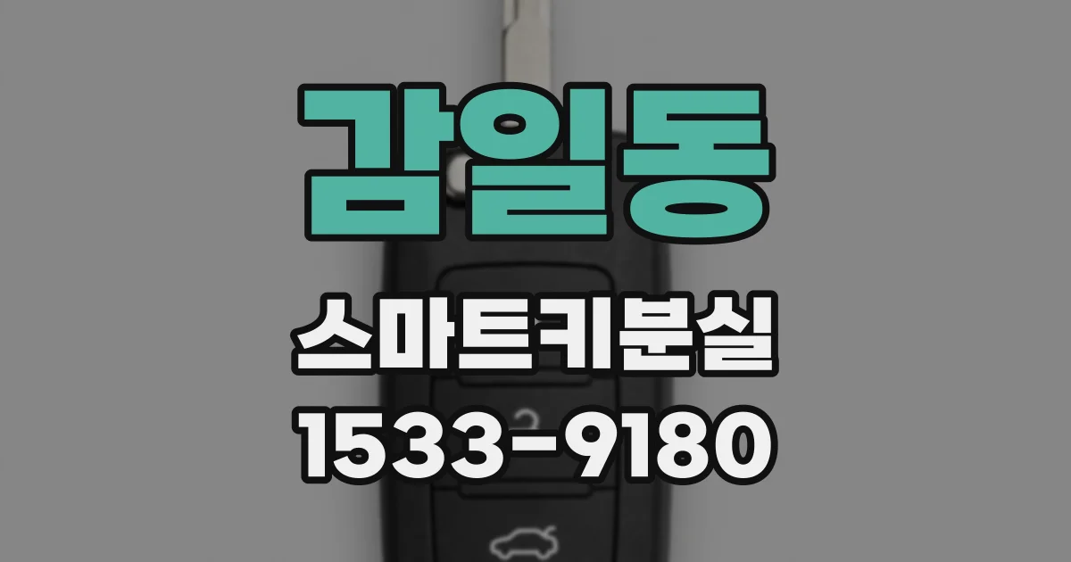 감일동 스마트키분실