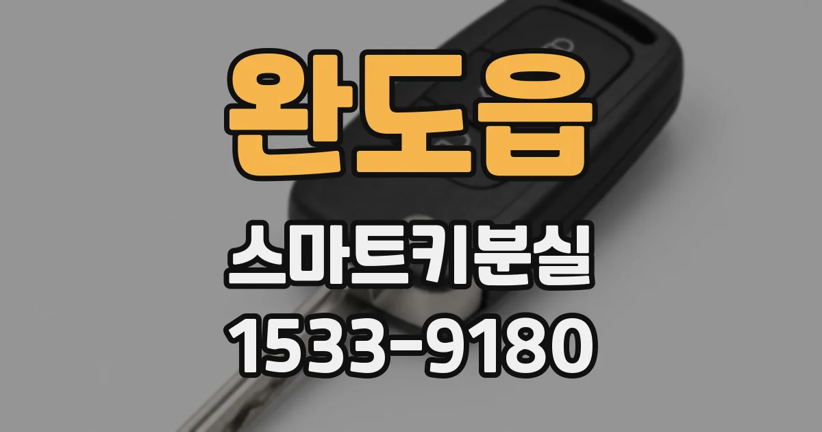 완도읍 스마트키분실