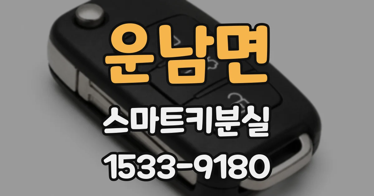운남면 스마트키분실