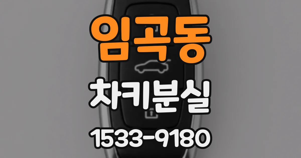 임곡동 차키분실