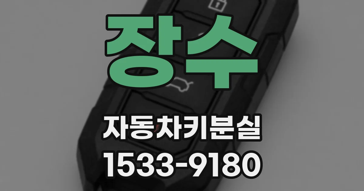 장수 자동차키분실