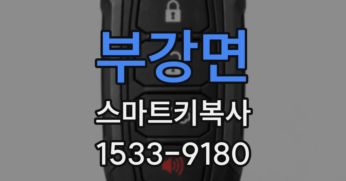 부강면 스마트키복사