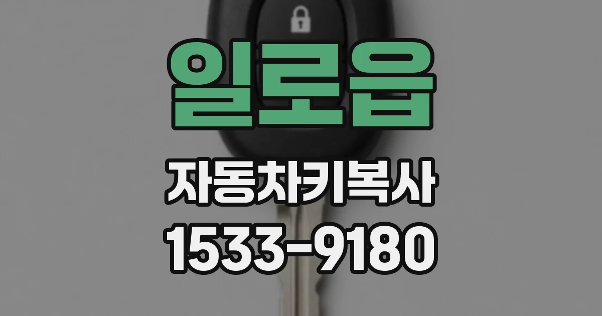 일로읍 자동차키복사