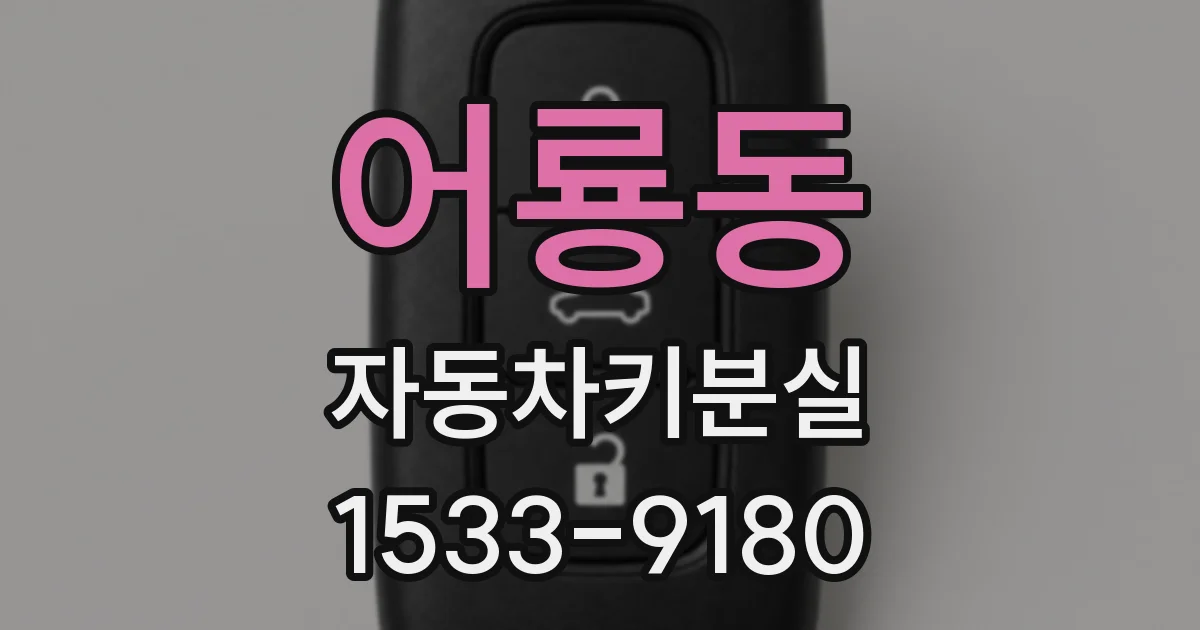 어룡동 자동차키분실