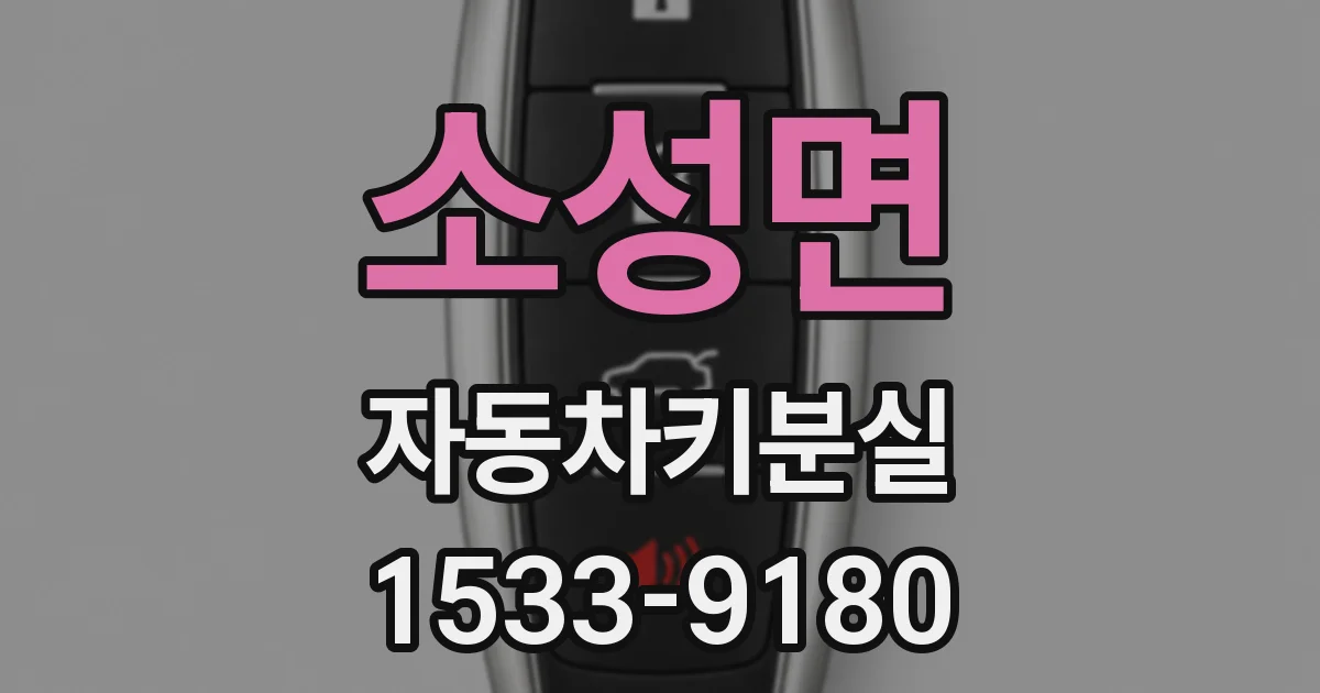 소성면 자동차키분실