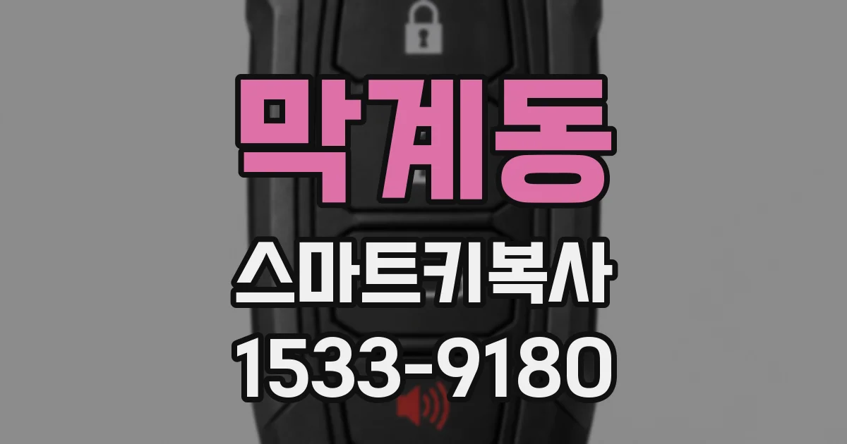 막계동 스마트키복사