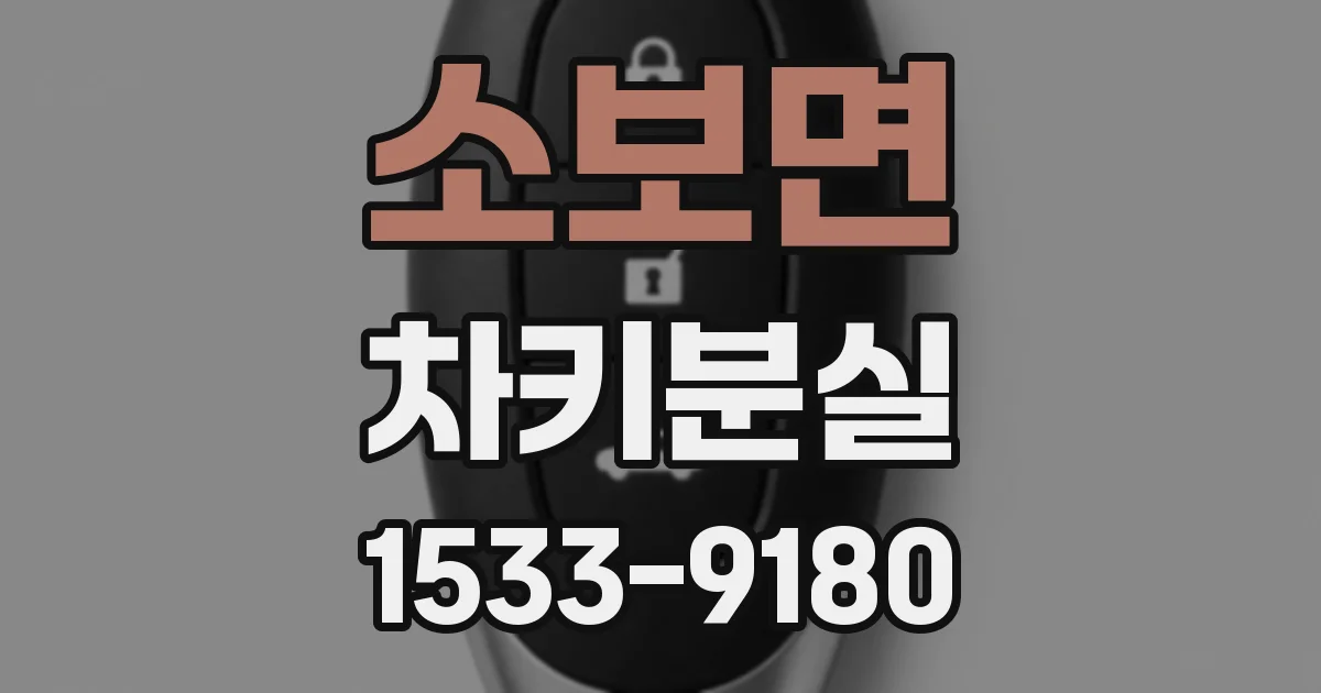 소보면 차키분실