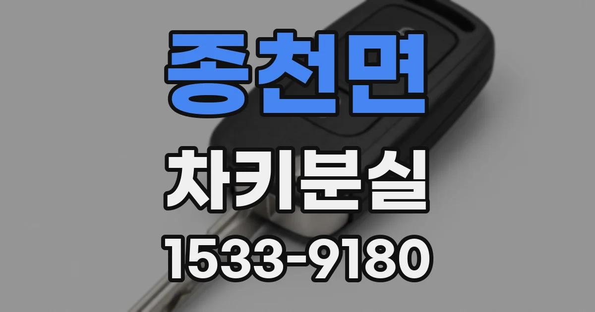 종천면 차키분실