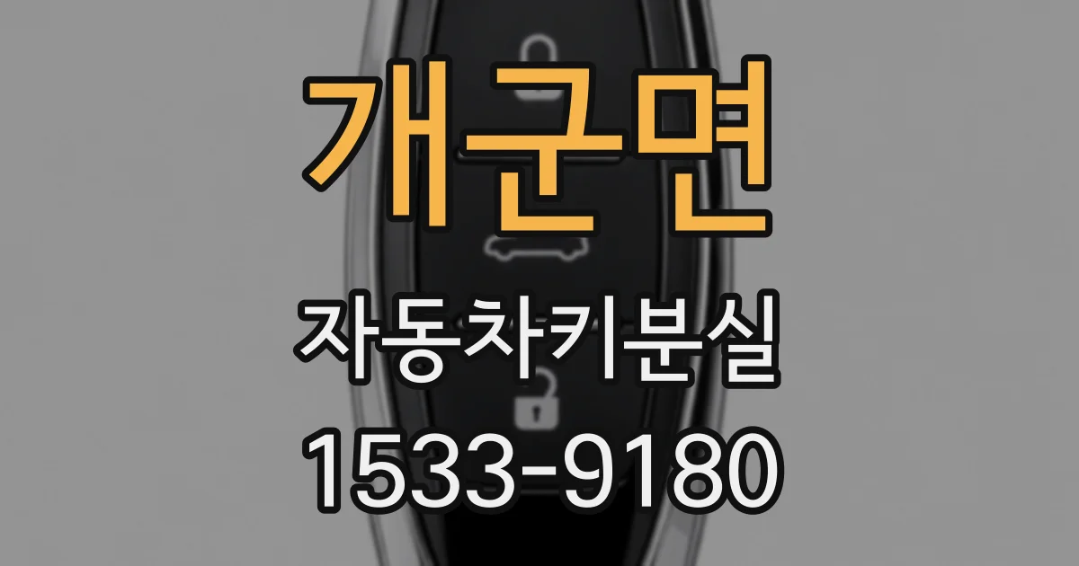 개군면 자동차키분실