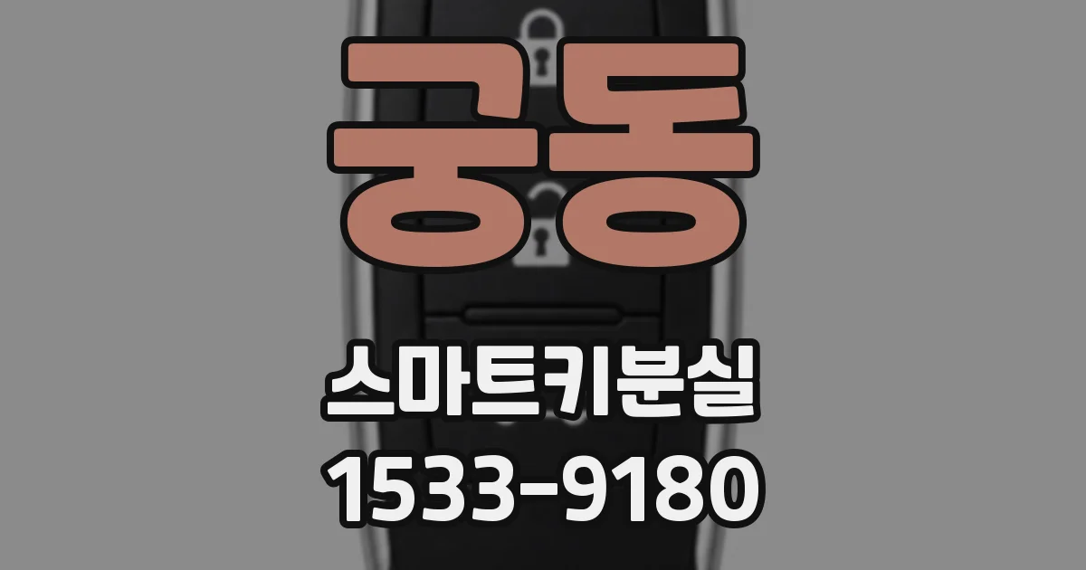 궁동 스마트키분실