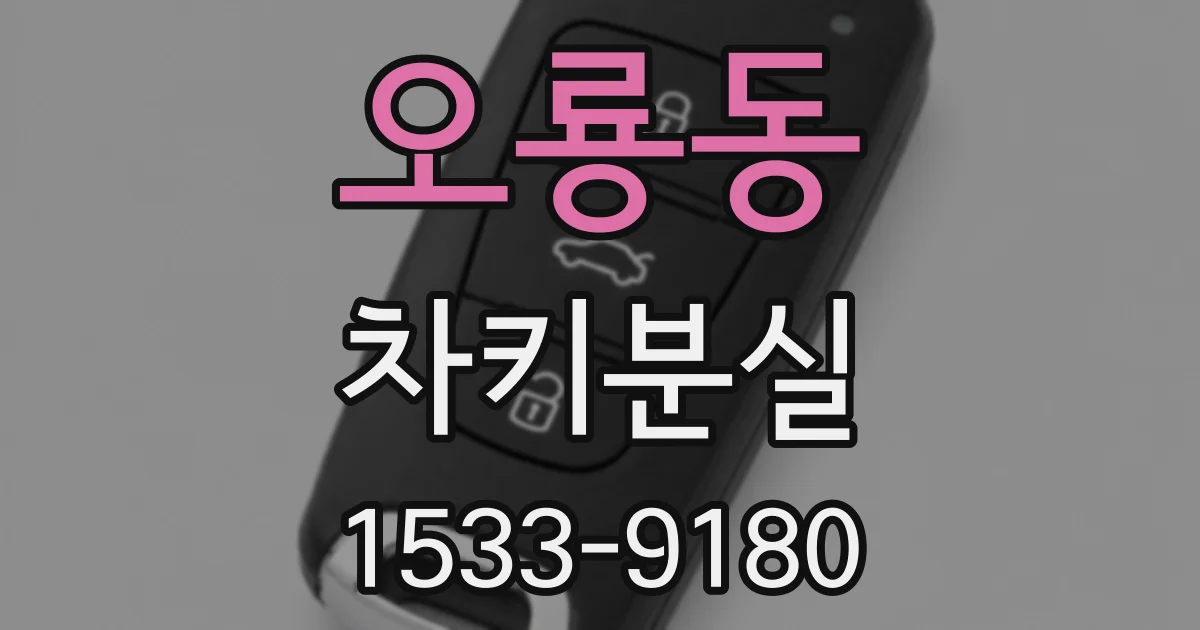 오룡동 차키분실