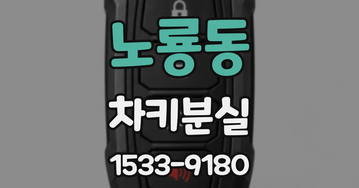 노룡동 차키분실