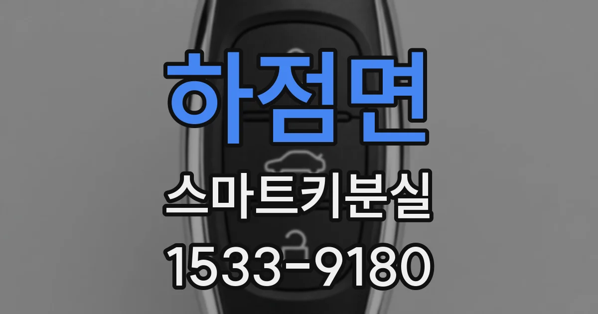 하점면 스마트키분실