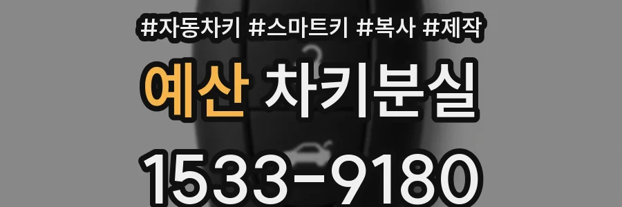 예산 차키분실