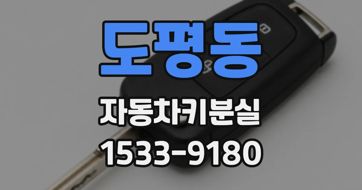 도평동 자동차키분실