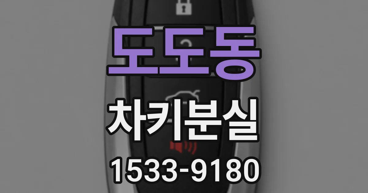 도도동 차키분실