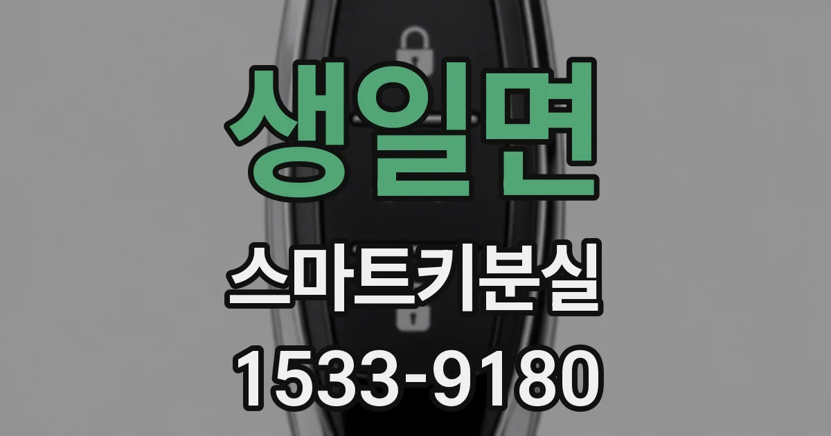 생일면 스마트키분실