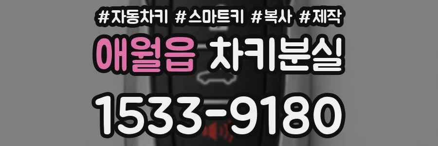 애월읍 차키분실