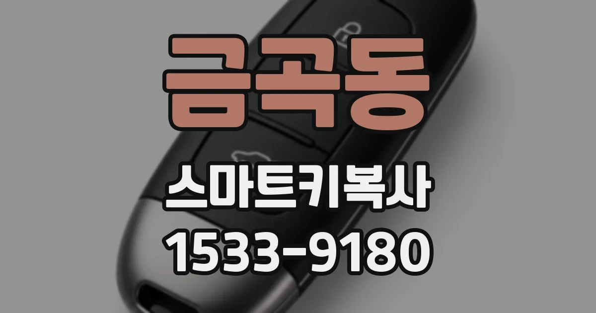 금곡동 스마트키복사
