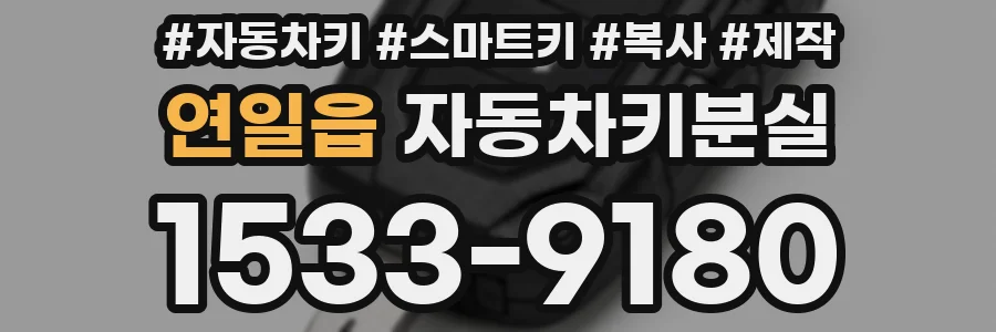 연일읍 자동차키분실