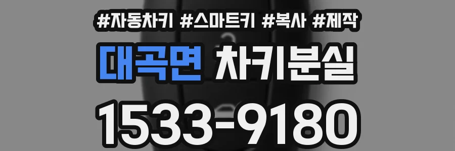 대곡면 차키분실