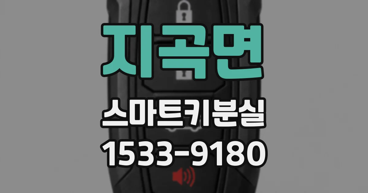지곡면 스마트키분실