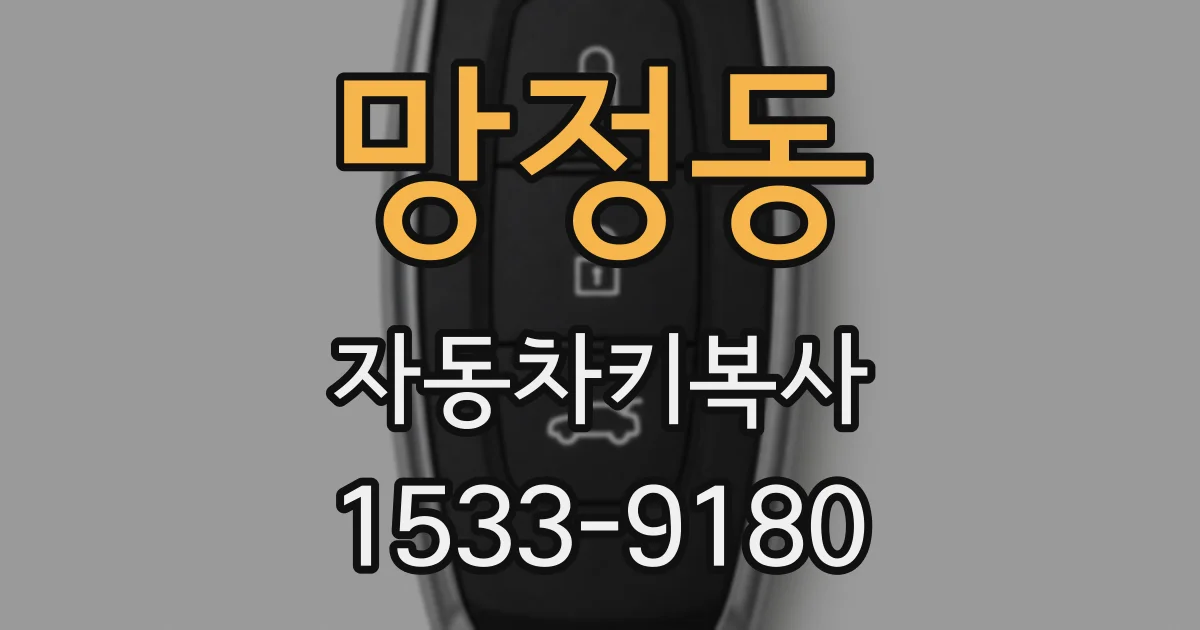 망정동 자동차키복사