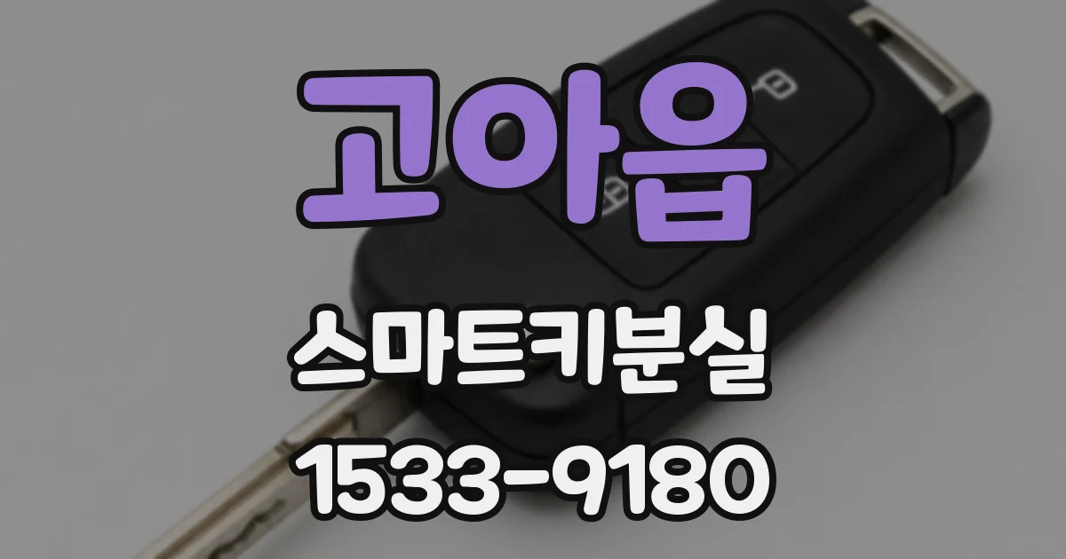 고아읍 스마트키분실