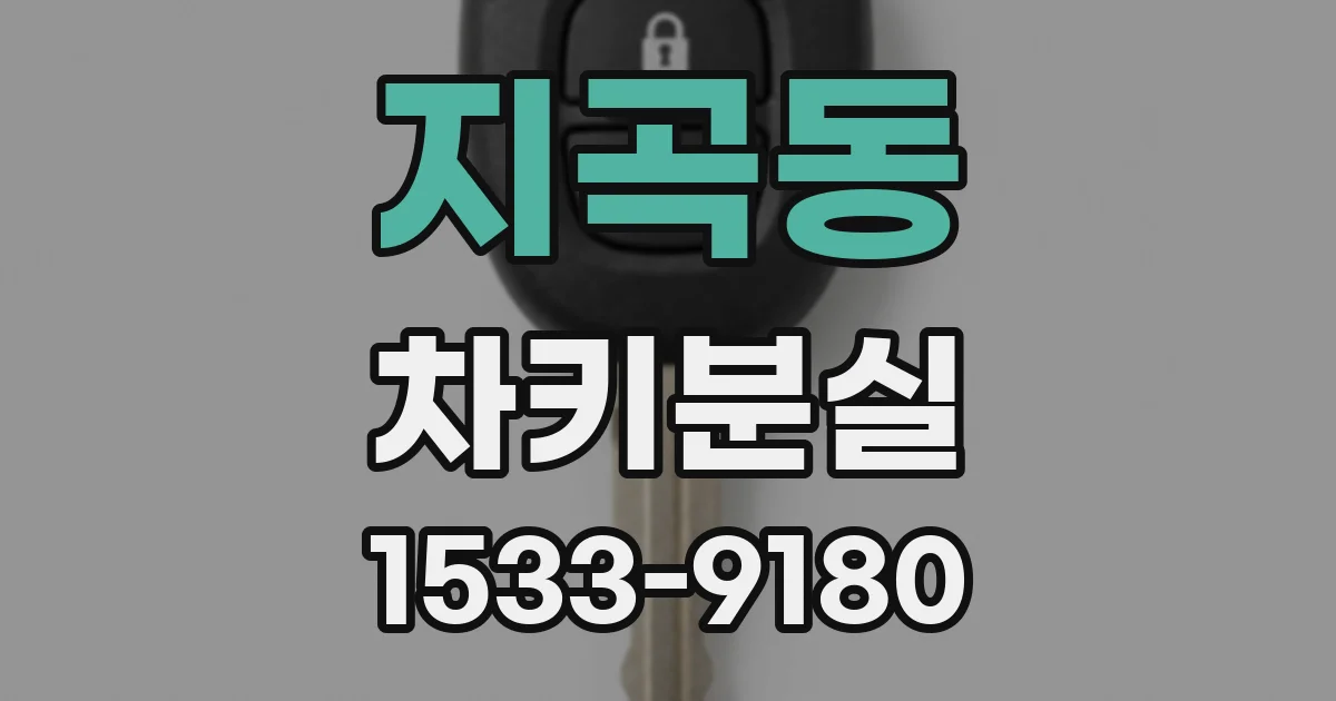 지곡동 차키분실