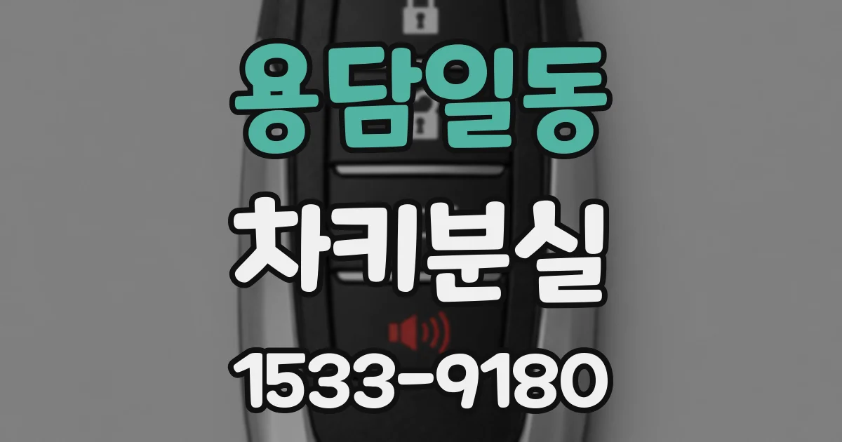 용담일동 차키분실